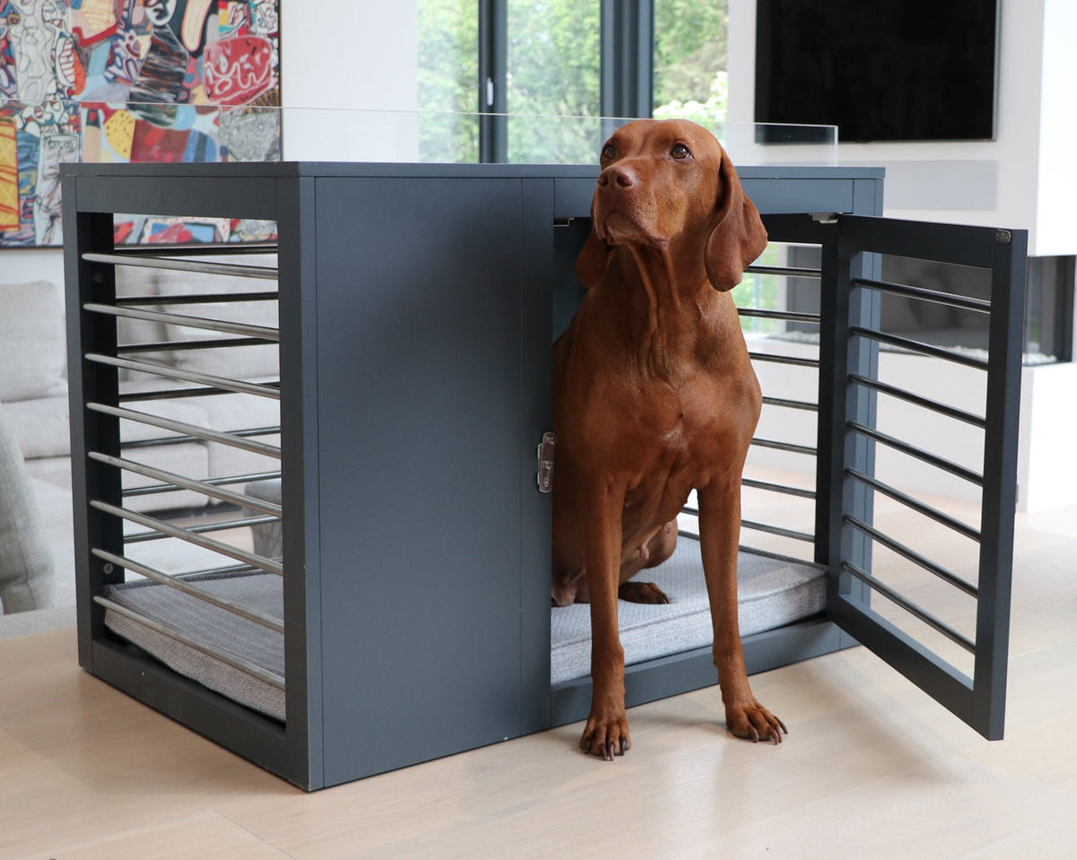 Dog Crate Training with a  Bowsers Modern Crate