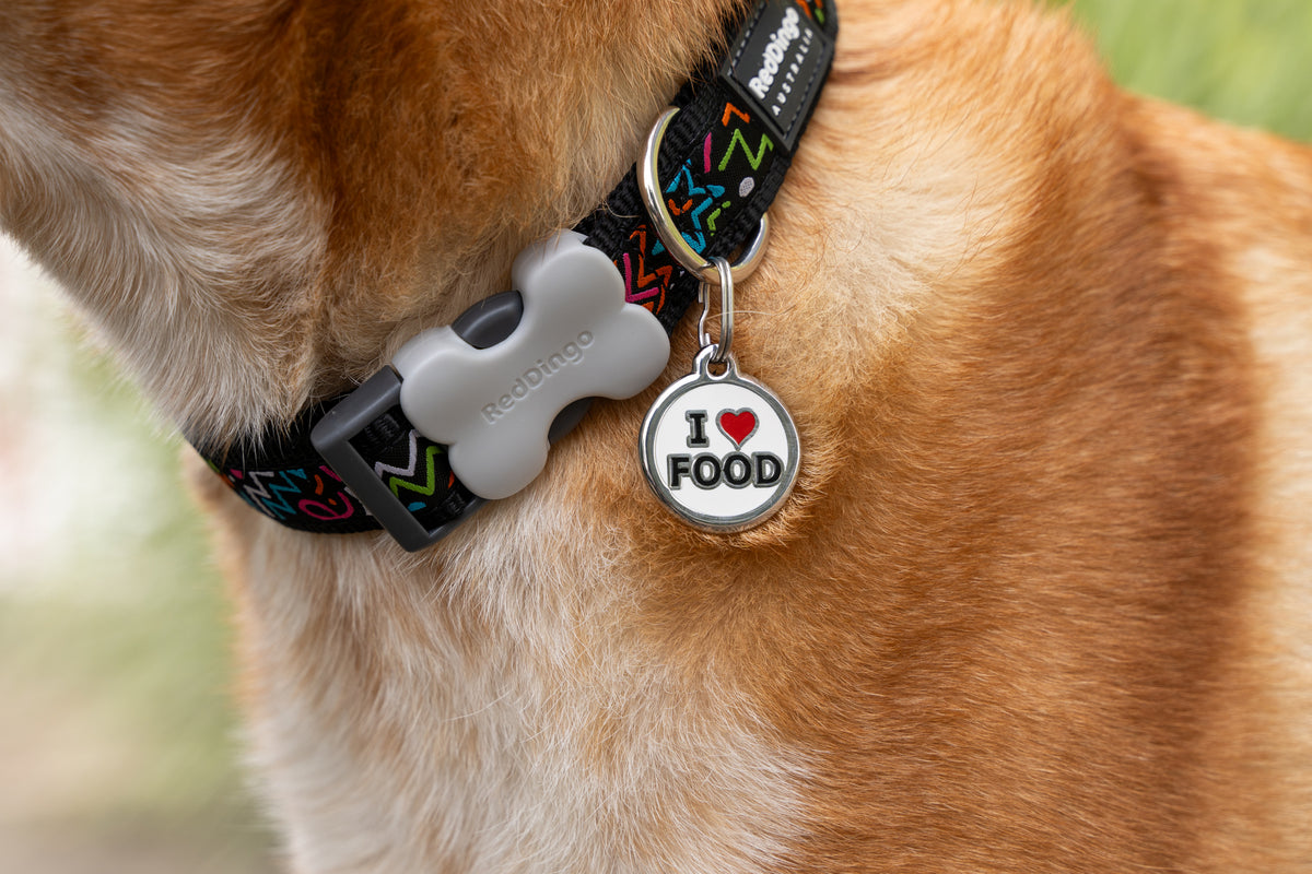 Stainless steel round 'I ♥ FOOD' dog tag with red heart, plus bone tag detail.