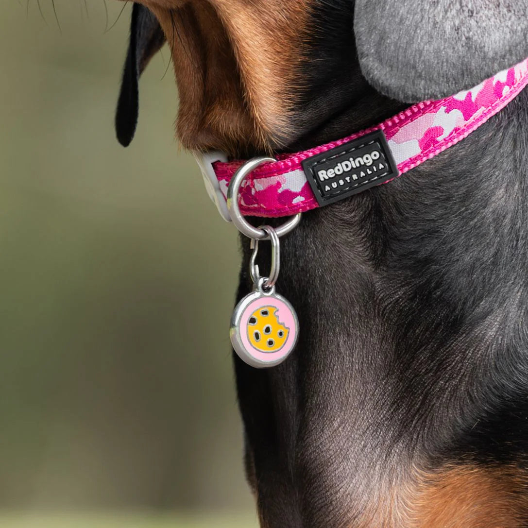 Dog wearing pink collar with round pink cookie enamel dog ID tag
