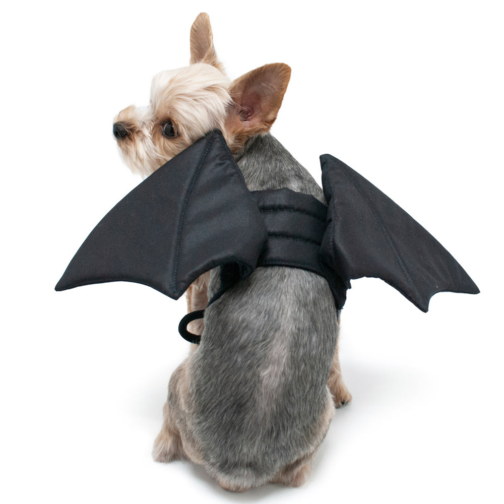 Black dragon wings dog Halloween costume with harness and two wing panels