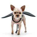 Black dragon wings dog Halloween costume with soft fabric bat-like wings