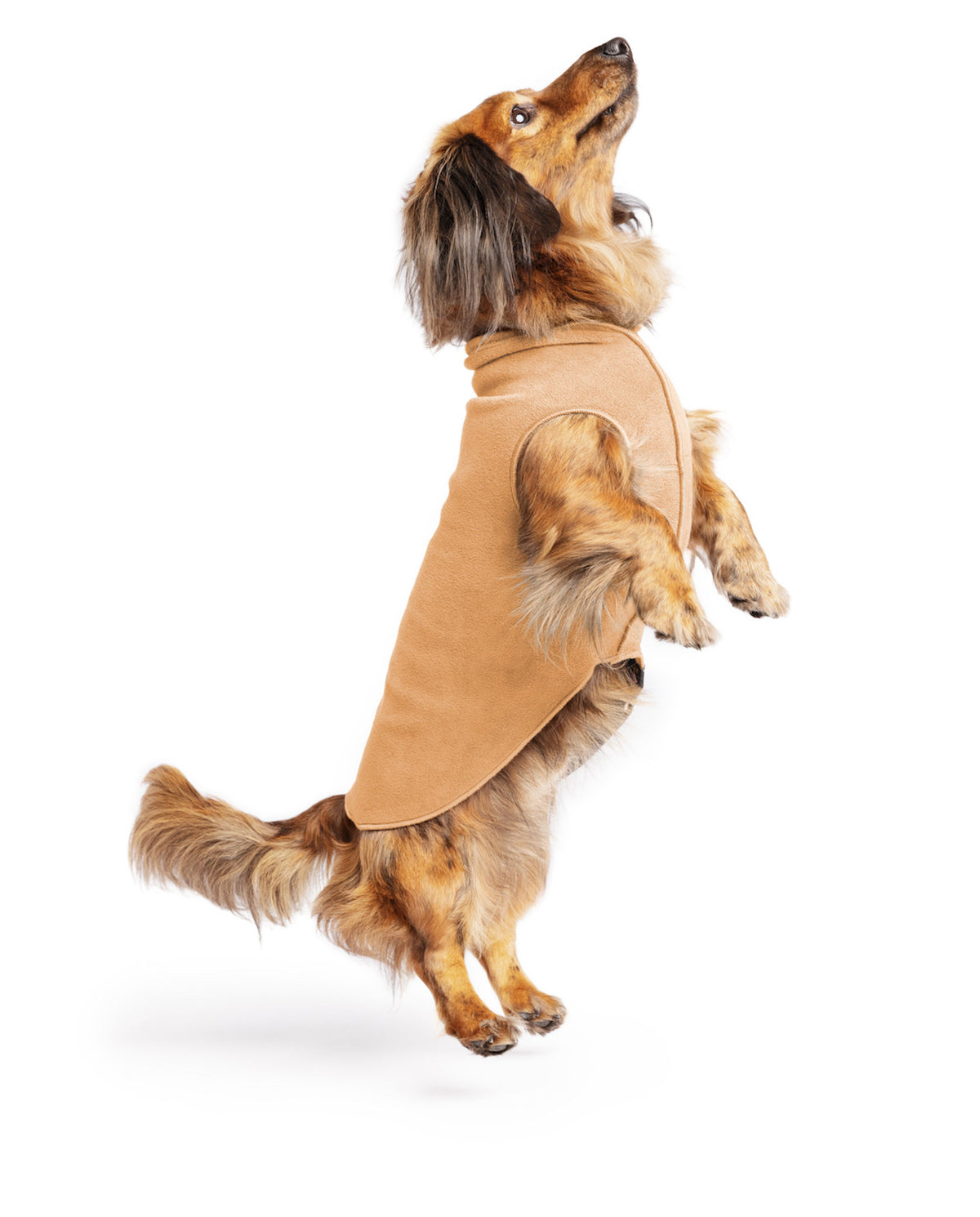 Tan stretch fleece dog coat with arm cutout, worn by long-haired brown dog