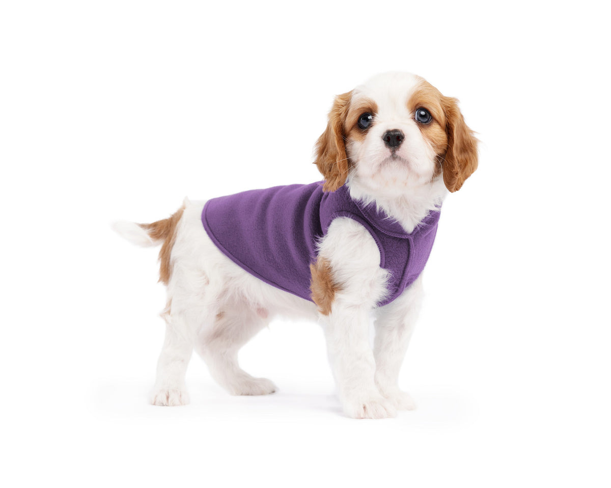 Stretch fleece dog coat in purple, closed neck and chest coverage on light dog
