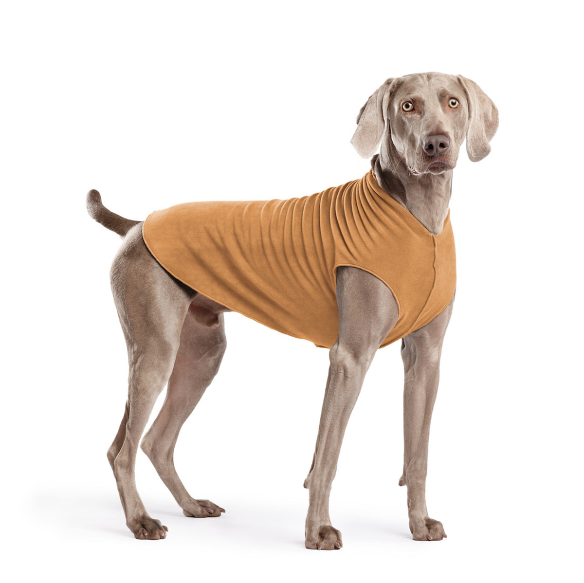 Tan stretch fleece dog coat with under-leg panel, worn on gray dog