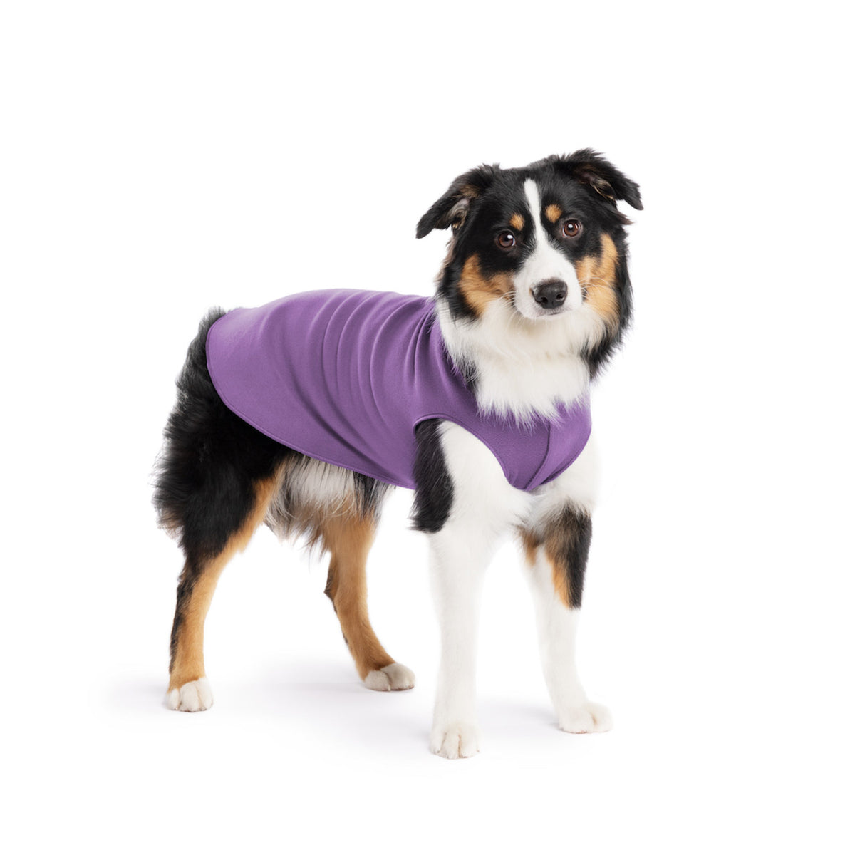 Stretch fleece dog coat in purple, front view on a medium dog