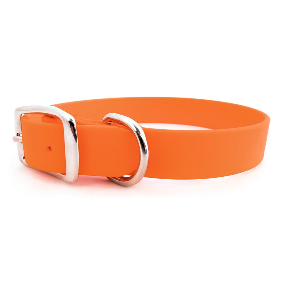 Orange waterproof dog collar with metal buckle and D-ring