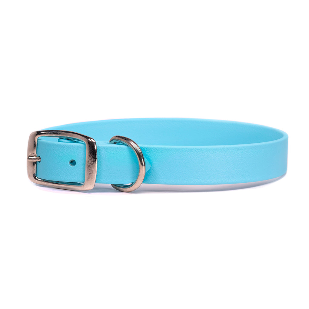 Light blue waterproof dog collar with metal buckle and D-ring hardware