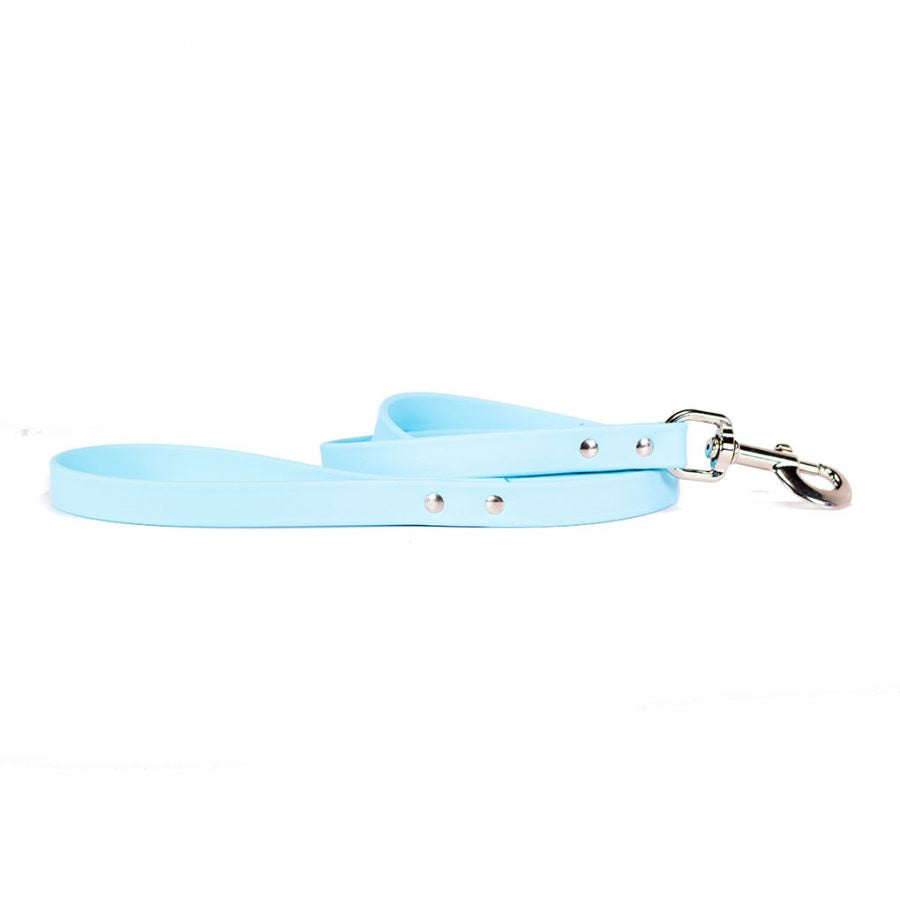 Light blue waterproof dog leash with metal clasp and adjustable D-ring hardware