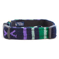 Woven dog collar with navy, purple, green, and white stripes; metal buckle and D-rings