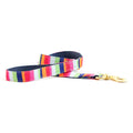 Handmade cotton woven dog leash with rainbow stripes and brass clasp