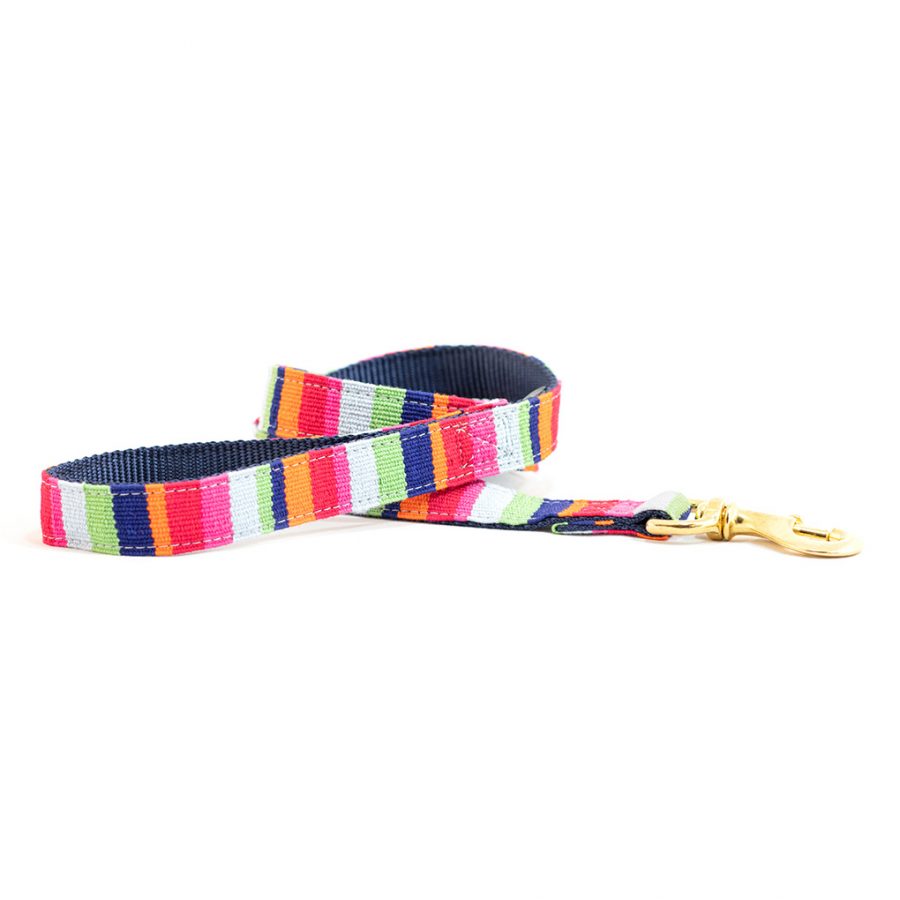 Handmade cotton woven dog leash with rainbow stripes and brass clasp