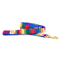 Handwoven cotton dog leash in multicolor weave with brass clip, Mystic