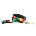Handmade cotton weave dog leash, Rasta multicolor striped with brass clasp
