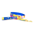 Cotton woven dog leash with blue, yellow, and red star pattern and gold clasp