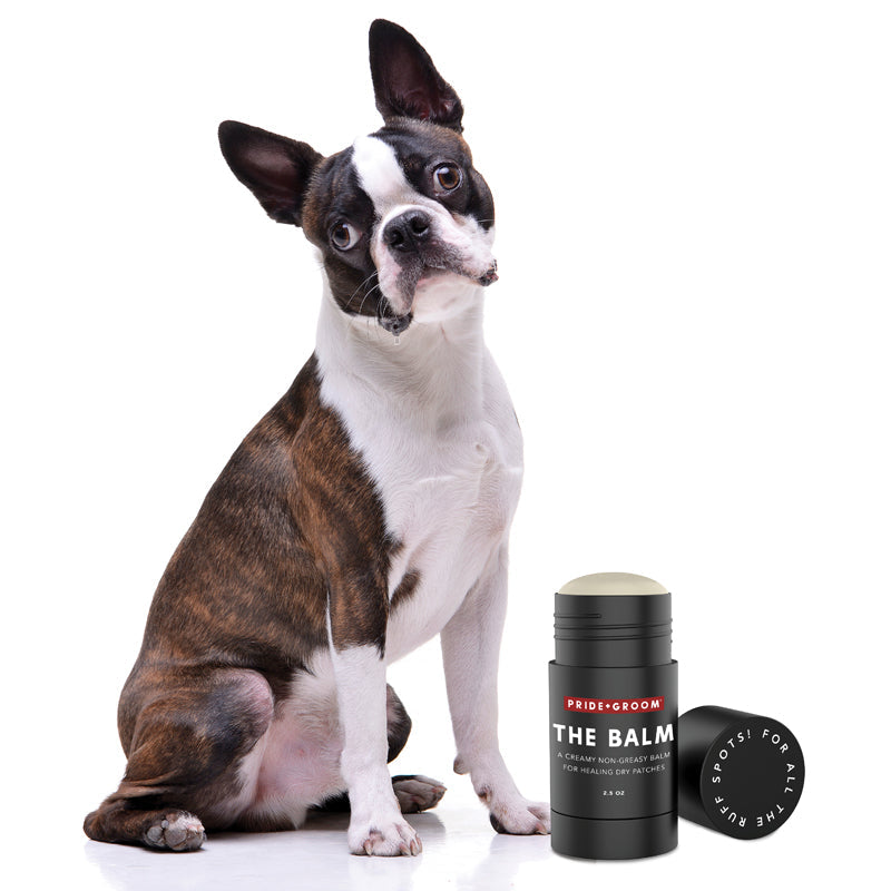 Pet dog beside Pride+Groom THE BALM balm container and round travel tin