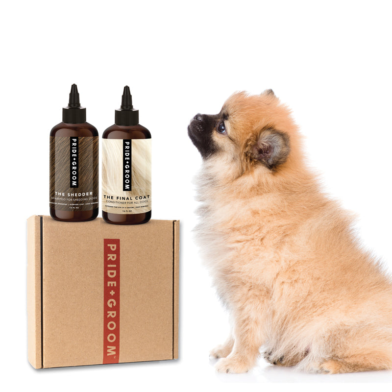 Dog grooming bath box set with two amber bottles and a small brown-and-white dog.