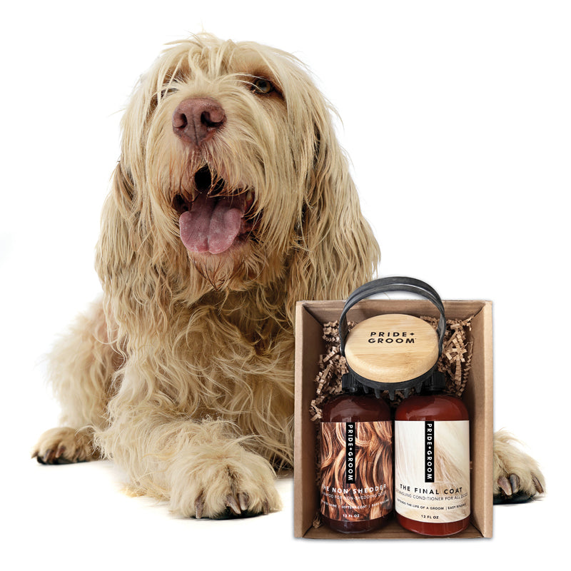 Dog grooming brush set with blue brush head and grooming bottles in box