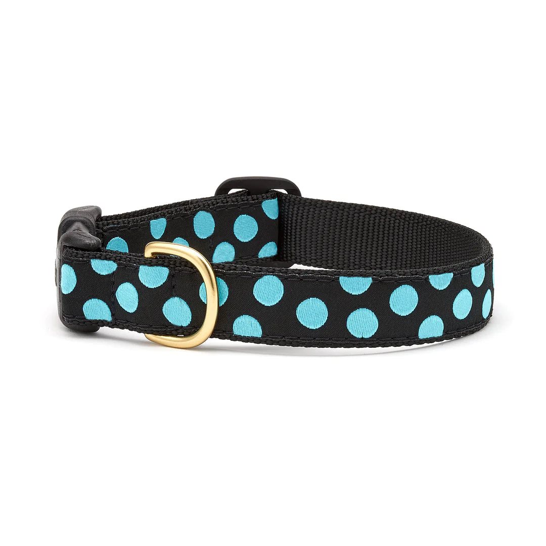 Black dog collar with aqua dot pattern and gold buckle, adjustable strap
