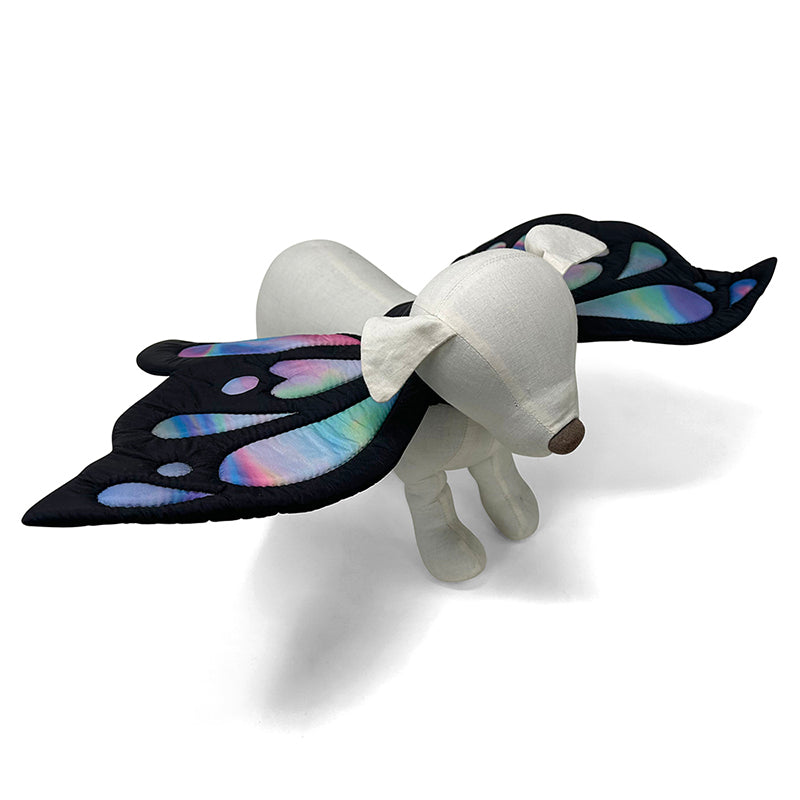 Butterfly wings dog costume with black iridescent wings and bow on white plush dog