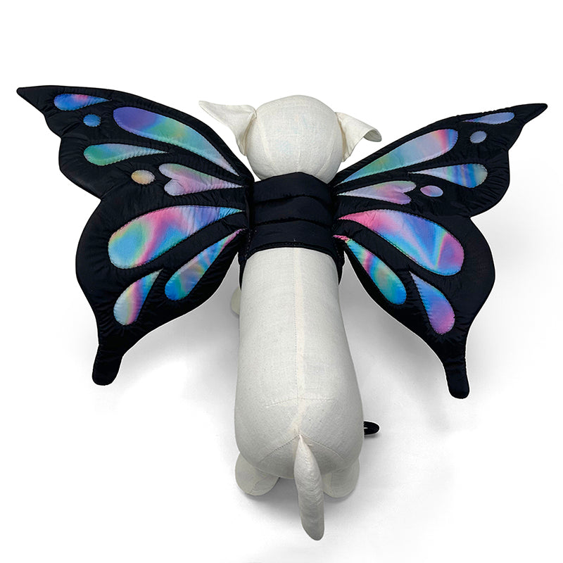 Dog butterfly wing costume on white plush with black iridescent wings and head bow
