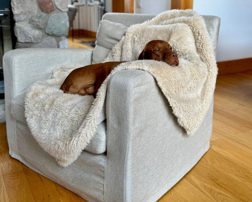 Cream faux fur dog blanket with long shag texture, dog resting on folded blanket