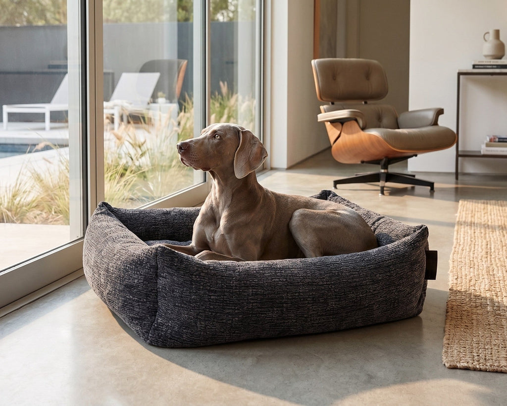 Dark gray woven dog bed with thick bolsters; dog resting in center