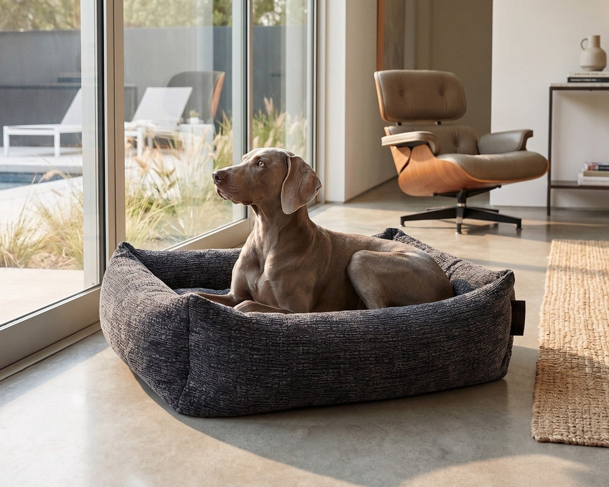 Dark gray woven dog bed with thick bolsters; dog resting in center