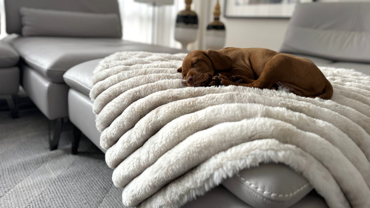 White faux fur dog blanket with ribbed folds, dog lying on top