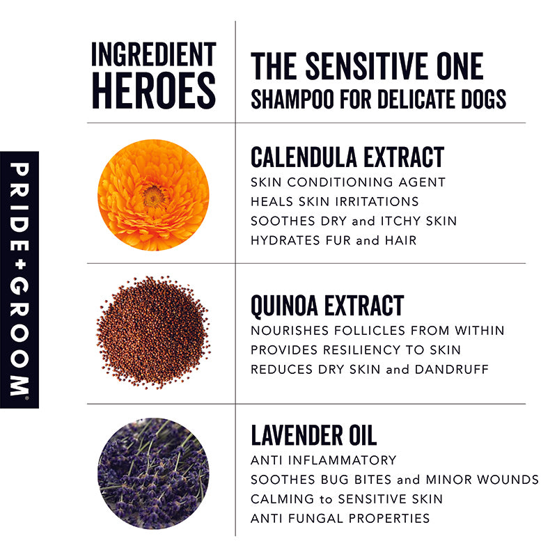 Ingredient card for gentle dog shampoo: calendula extract, quinoa extract, lavender oil