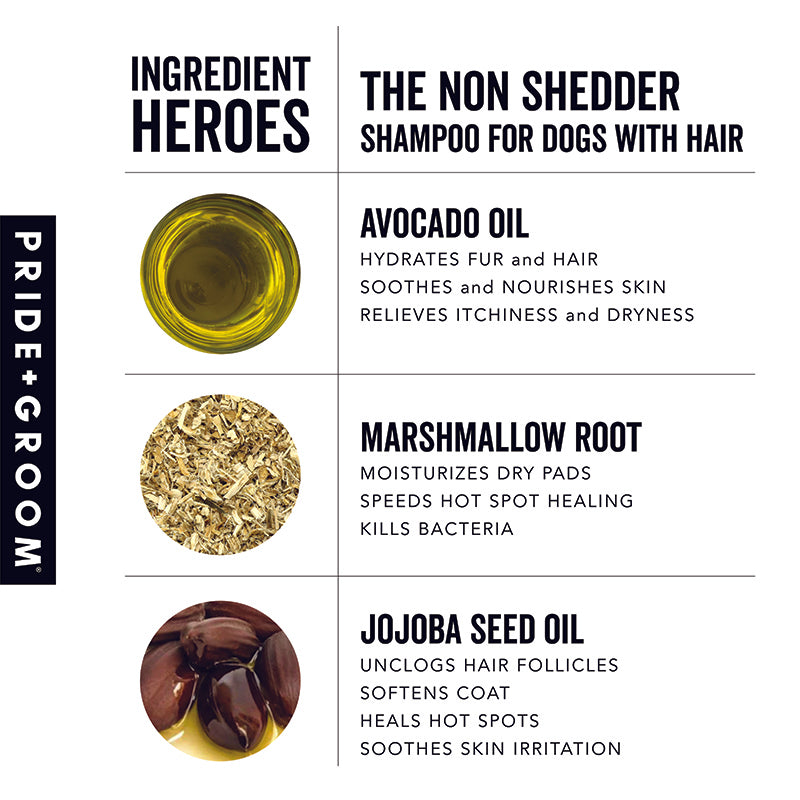 Ingredient panel for dog shampoo listing avocado oil, marshmallow root, and jojoba seed oil