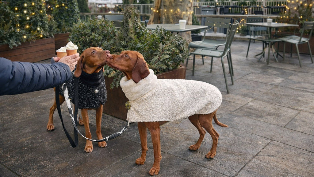 Manhattan Walking Coat For Dogs - Navy Fusion