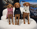 Manhattan Walking Coat For Dogs - White Fusion