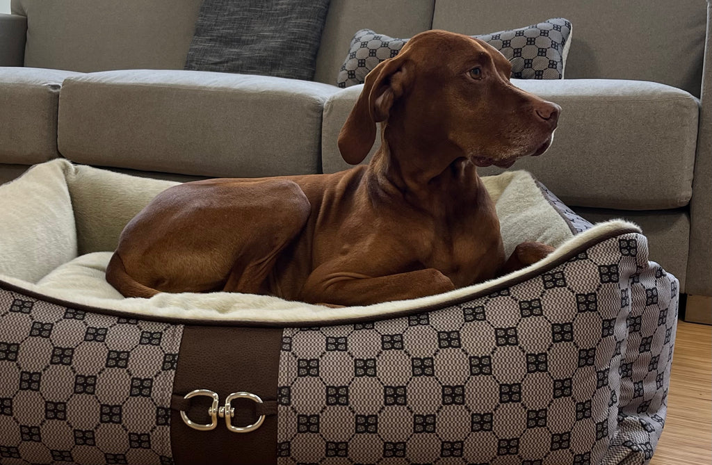 Gray patterned dog scoop bed with light inner cushion and brown center panel clasps
