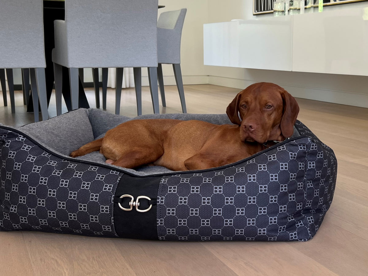 Scoop dog bed with dark patterned sides and gray pillow; dog lying on the bed