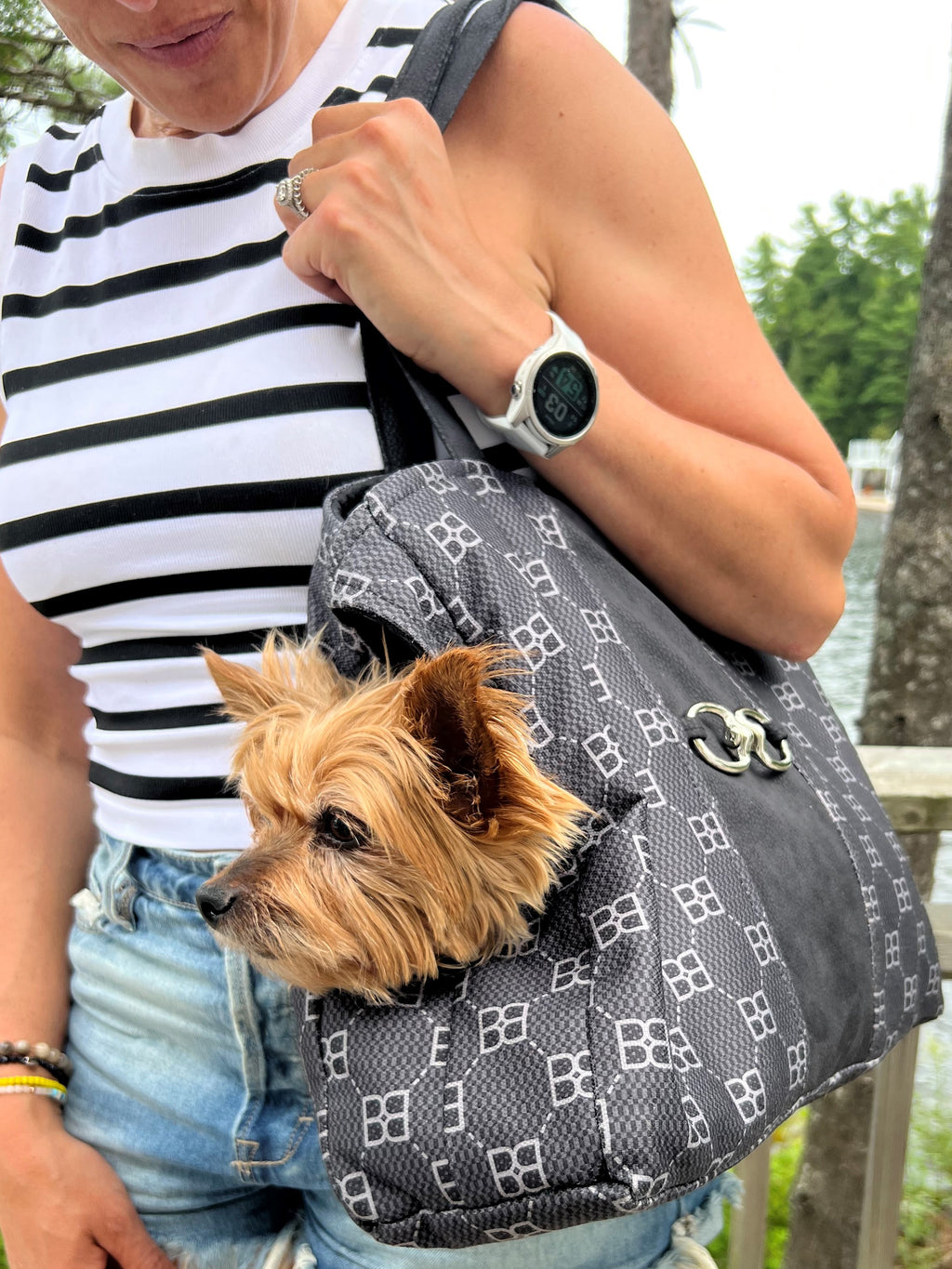 Person carrying a dog in a dark signature-pattern carrier tote with front buckle closure