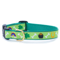 Teal dog collar with rainbow, clover, bone and dog print; metal buckle ring