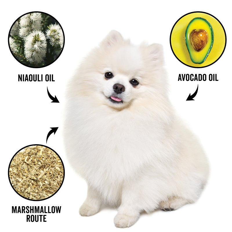Dog with niouli oil, avocado oil, and marshmallow root ingredient icons