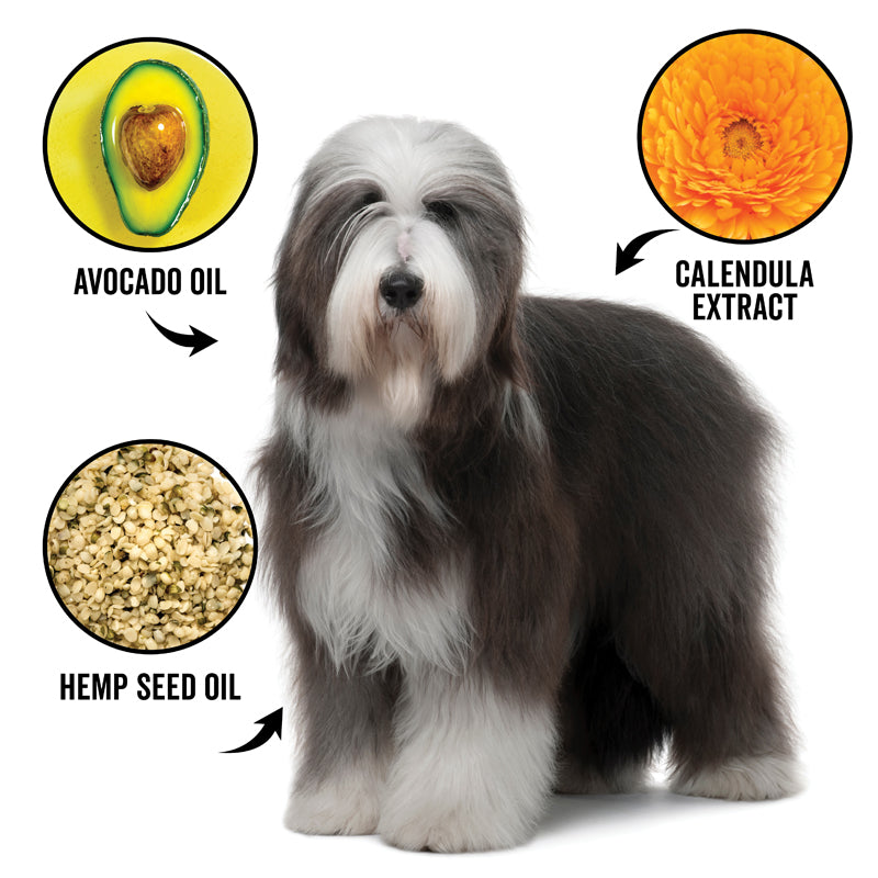 Shaggy white-and-gray dog with avocado oil, hemp seed oil, and calendula extract icons
