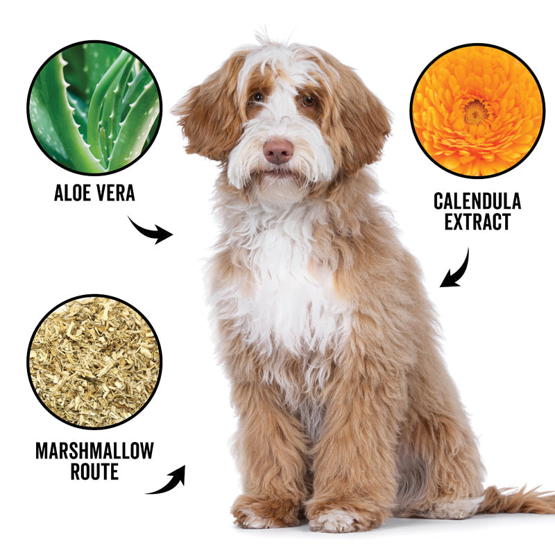 Hydrating dog shampoo for curly and wavy coats with aloe vera and calendula extract