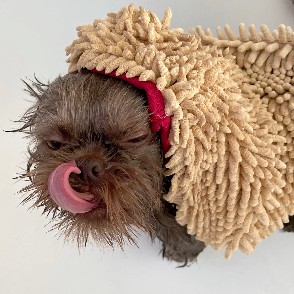 Tan microfiber drying towel with red trim covering a small dog