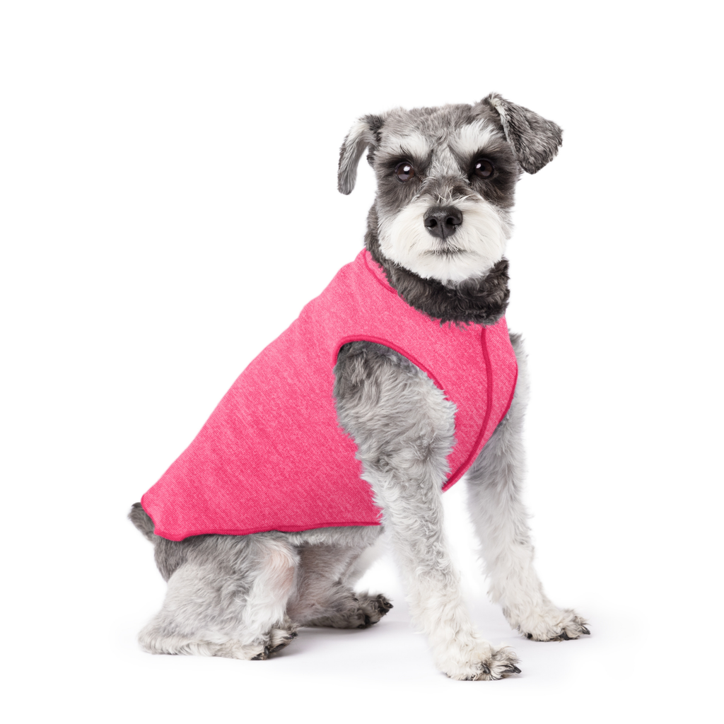 Pink dog T-shirt with wide armholes and front hem, worn by gray-and-white dog