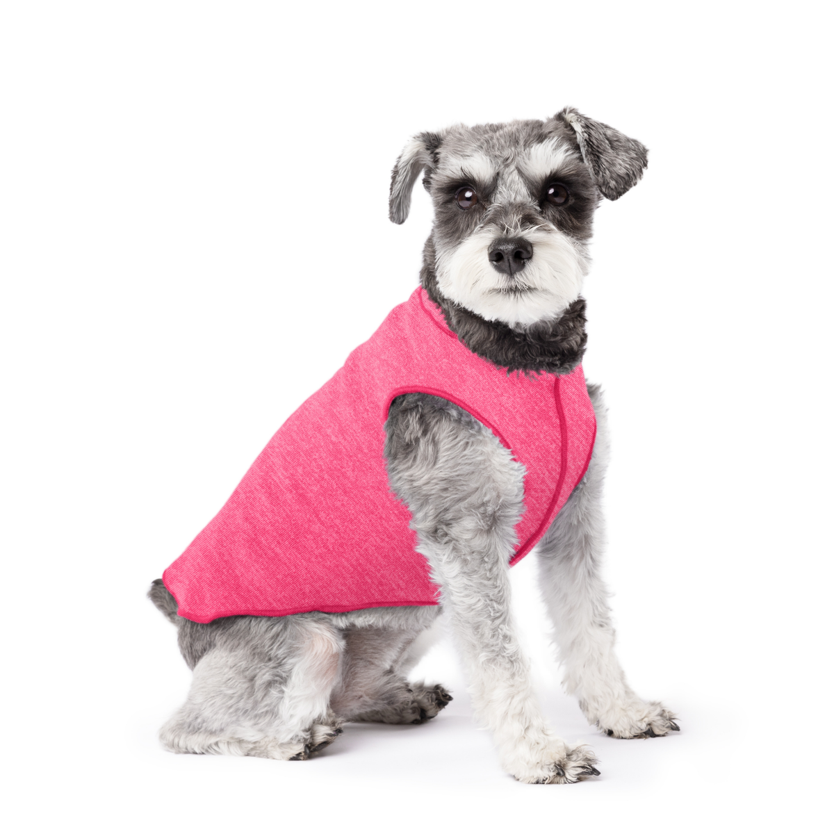 Pink dog T-shirt with wide armholes and front hem, worn by gray-and-white dog