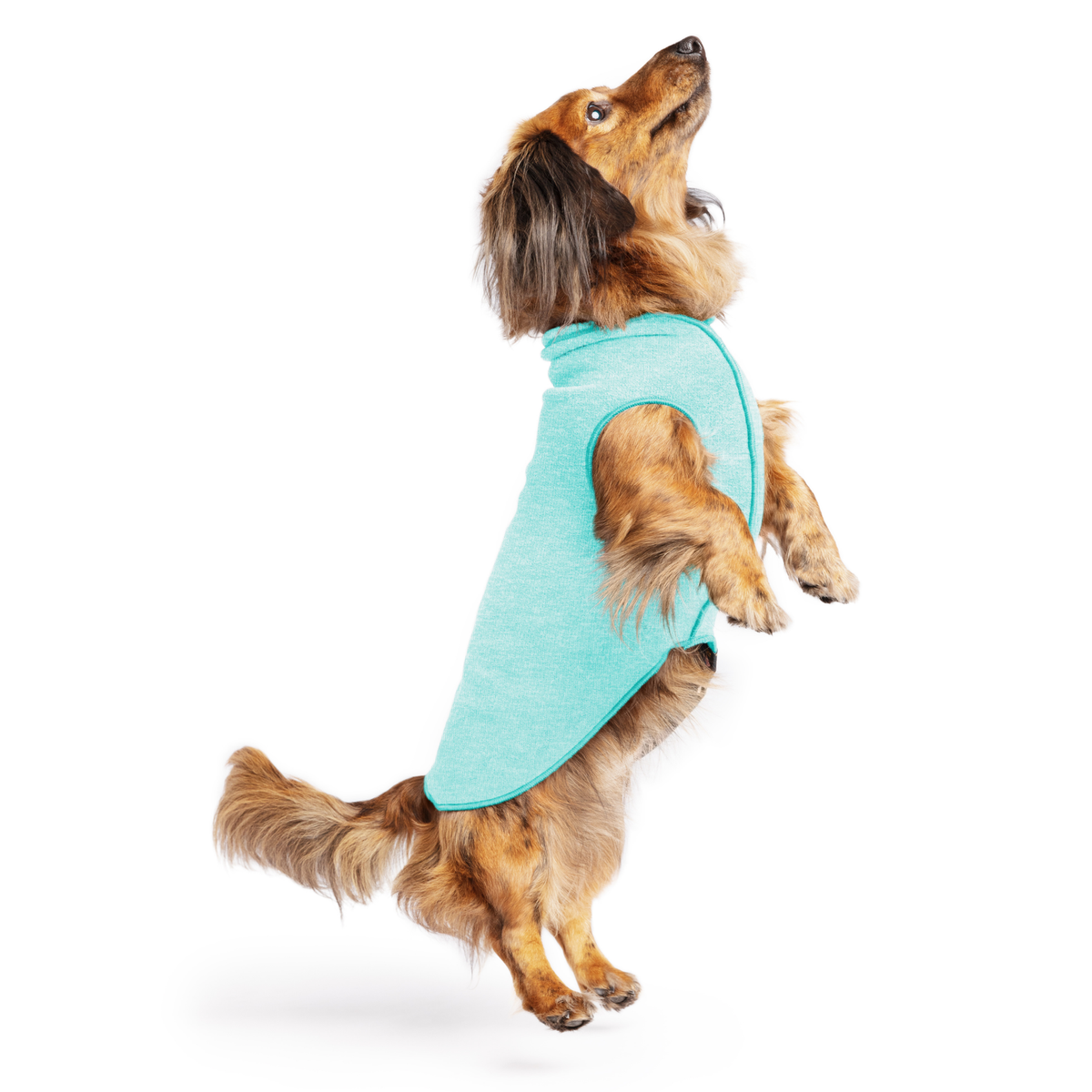 Light turquoise sleeveless dog tee with round neck on tan dog, side view
