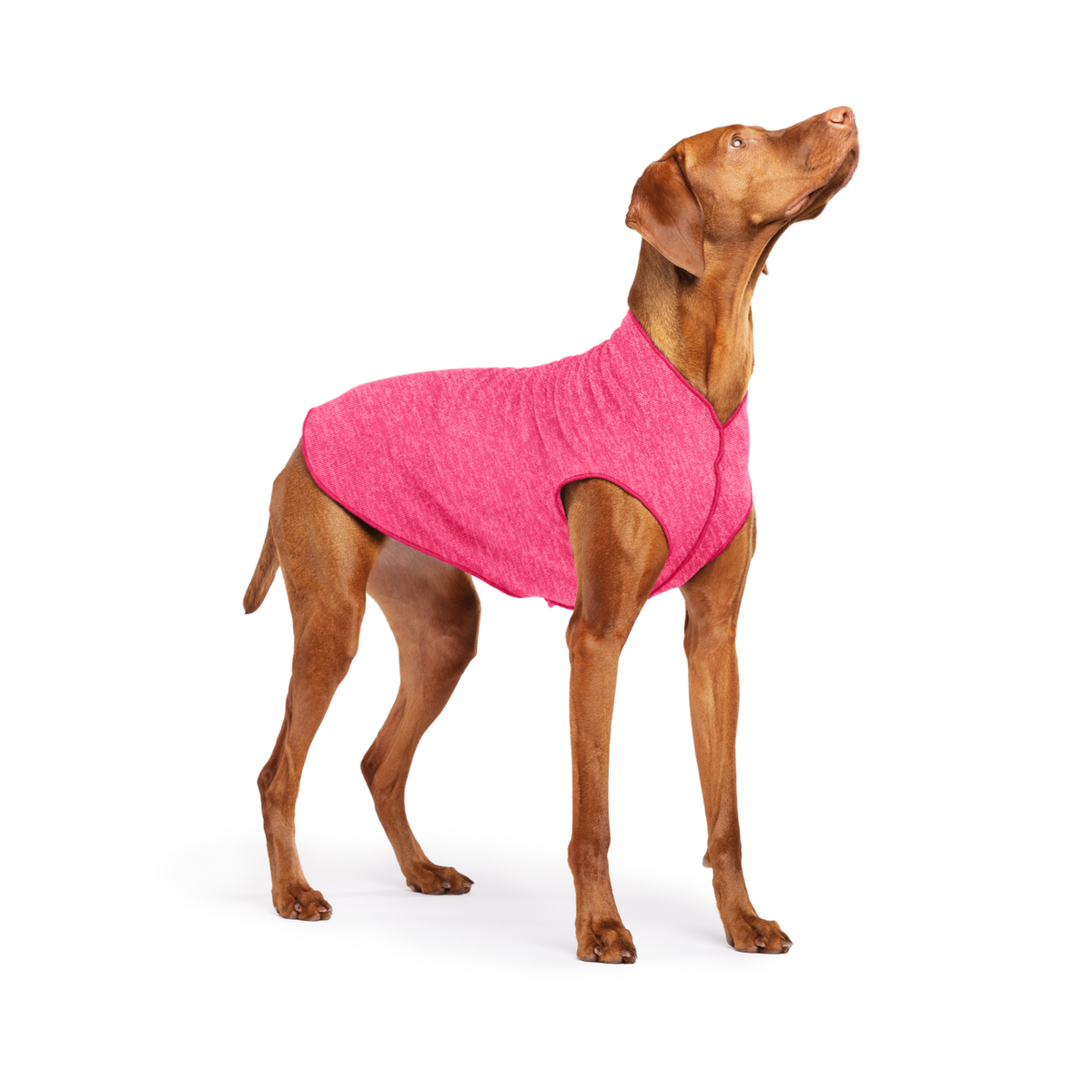 Pink dog T-shirt with wide armholes and front hem, worn by brown dog