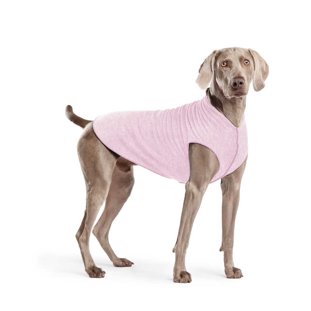 Pink dog sun shield tee with cutout underbelly on brown dog standing