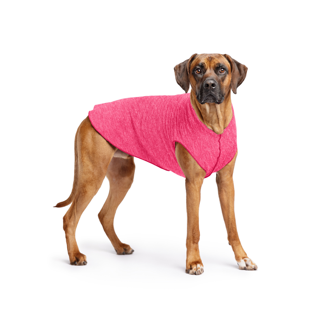 Pink dog T-shirt with wide armholes and front hem, worn by tan dog