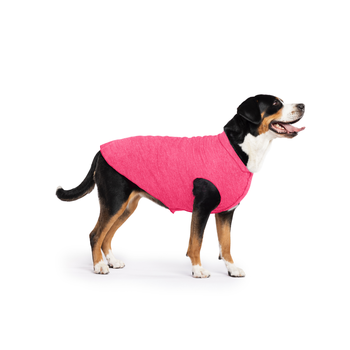 Pink dog T-shirt with wide armholes and front hem, worn by black-and-tan dog