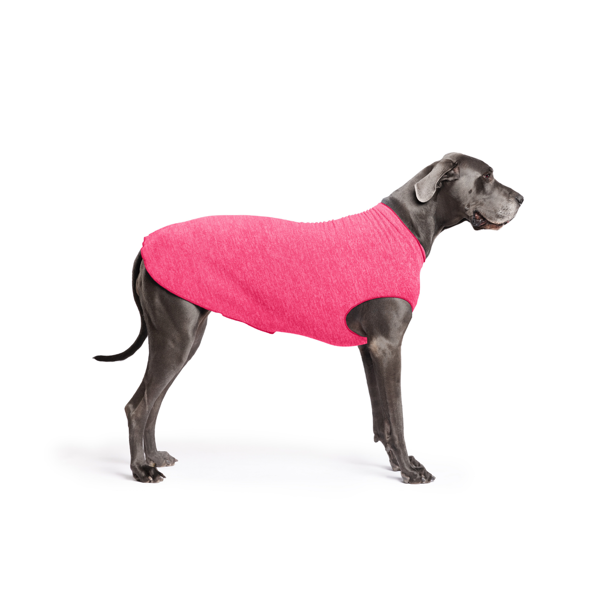 Pink dog T-shirt with wide armholes and front hem, worn by gray dog