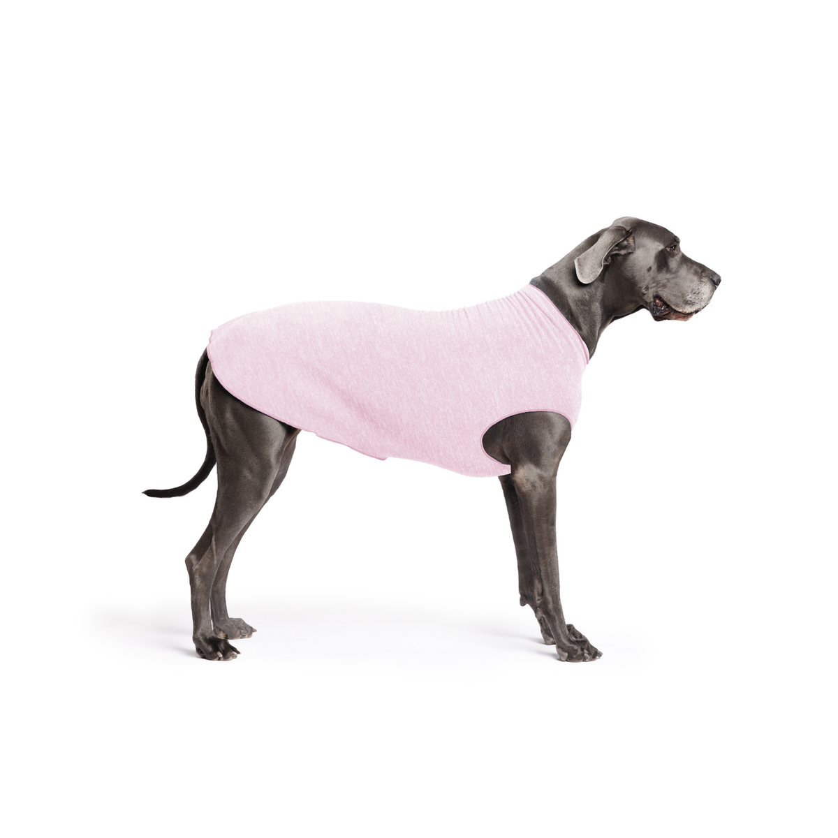 Pink dog sun shield tee with cutout underbelly on gray dog