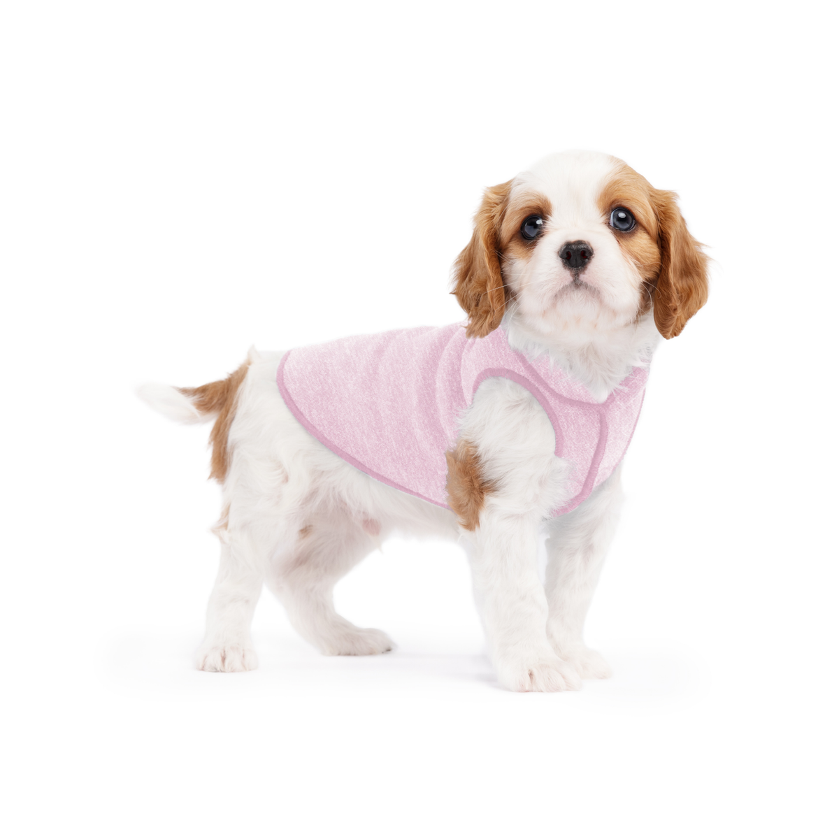 Pink dog sun shield tee with cutout underbelly on white-and-brown puppy